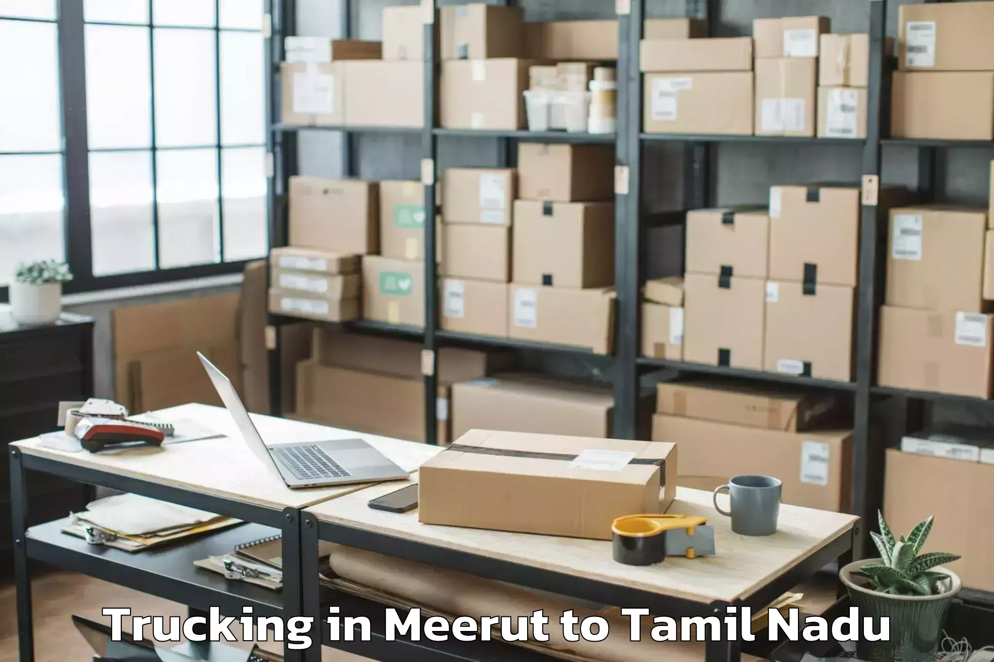 Book Meerut to Udumalaipettai Trucking